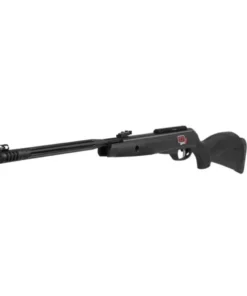 Gamo Black Maxxim IGT Mach1